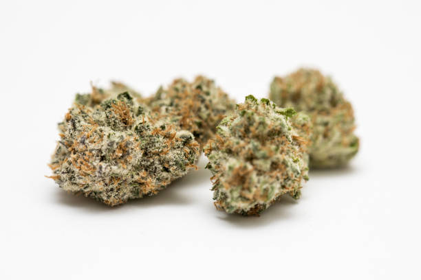 CBD Bud vs. CBD Flower Understanding the Difference