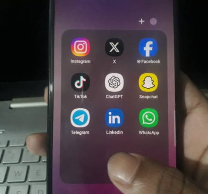 Breaking Down User Temptation Toward Instagram Private Viewer Searches